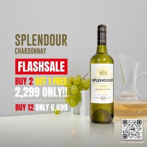SPLENDOUR CHARDONNAY ซื้อ 2 แถม 1 โคตรคุ้ม! ถูกที่สุดในตลาด