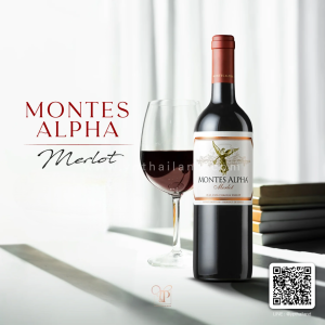MONTES ALPHA MERLOT ไวน์แดงสุดปังสัญชาติชิลี 🇨🇱