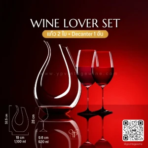 PREMIUM WINE GLASS & DECANTER GLASS SET ชุดแก้วไวน์สุดคุ้ม
