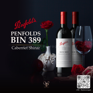 PENFOLDS BIN 389 CABERNET SHIRAZ ไวน์แดงระดับตำนานจากออสเตรเลีย🍷🇦🇺