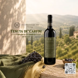 ONE BELVEDERE TENUTA DE’ CARFINI CHIANTI CLASSICO DOCG